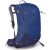 Рюкзак Osprey Sirrus 24 blueberry (фіолетовий)