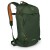 Рюкзак Osprey Soelden 22 Dustmoss Green - O/S - зелений