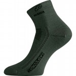 Шкарпетки Lasting WKS 620 зелений