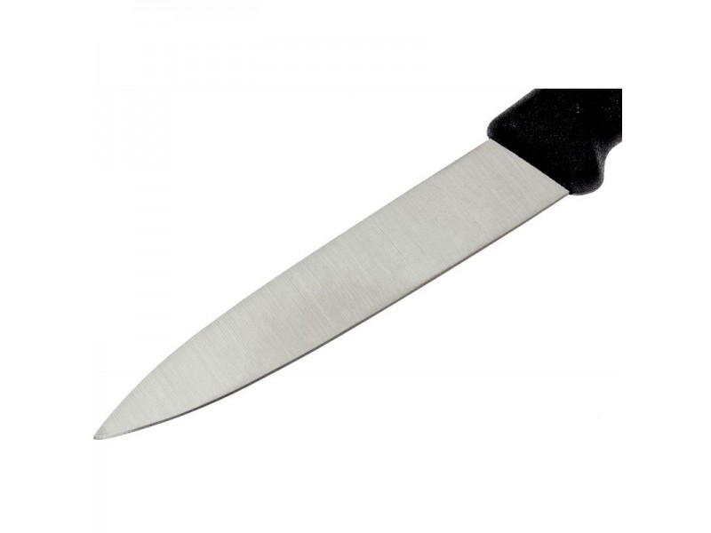 Набор ножей для овощей Victorinox Swiss Classic (Vx67603.B)