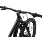 Велосипед Giant Trance X 29 3 чорн Chrome 