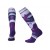 Шкарпетки жіночі Smartwool Women's PhD Ski Medium Pattern (Mountain Purple, M)