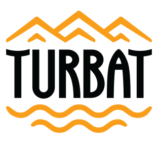 Чоловічі шорти Turbat